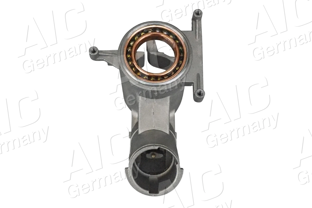 Steering Lock (50683)