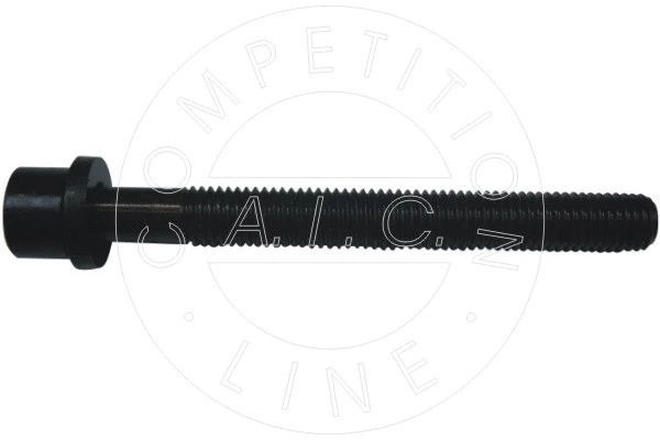 Cylinder Head Bolt (50900)