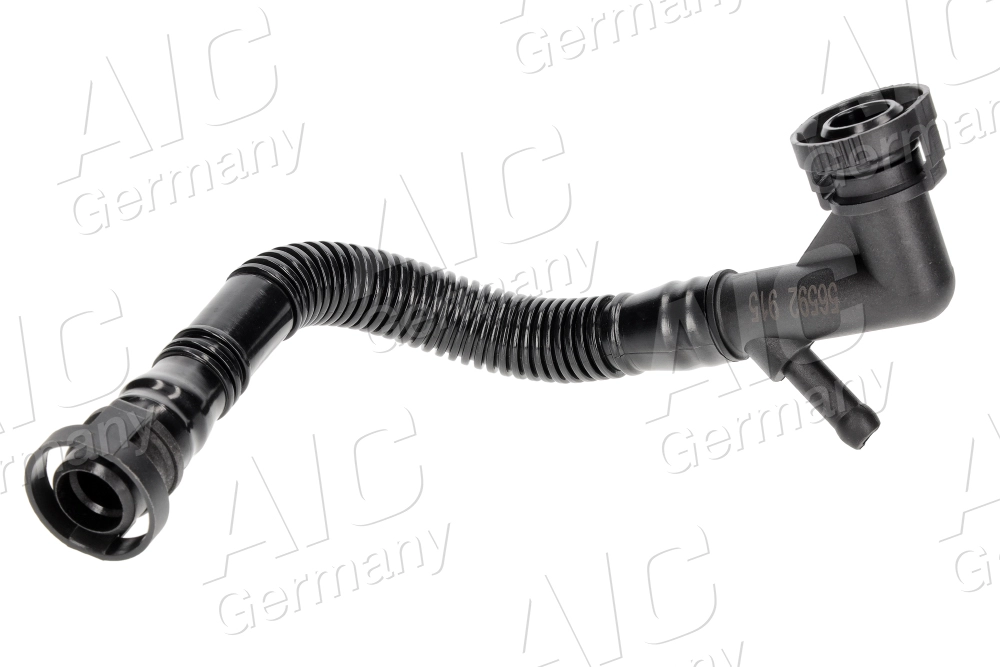 Hose, crankcase ventilation