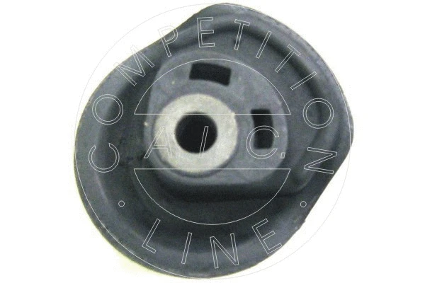Bushing, axle beam (50217)