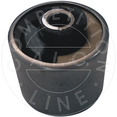 Bushing, axle beam (55849)