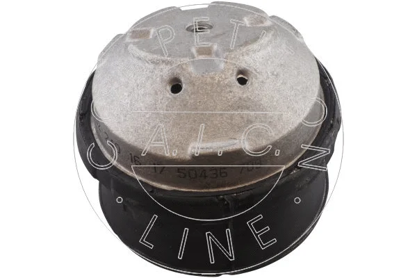 Mounting, engine (50436)