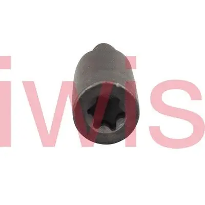 Sliding Rail Bolts, timing chain