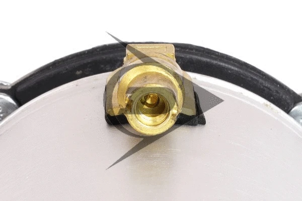 Air Suspension Strut