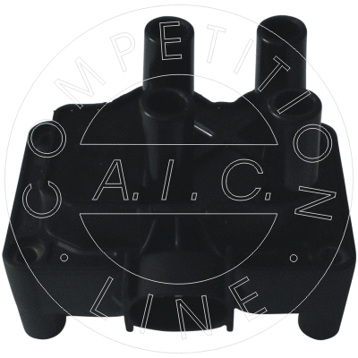 Ignition Coil (54902)