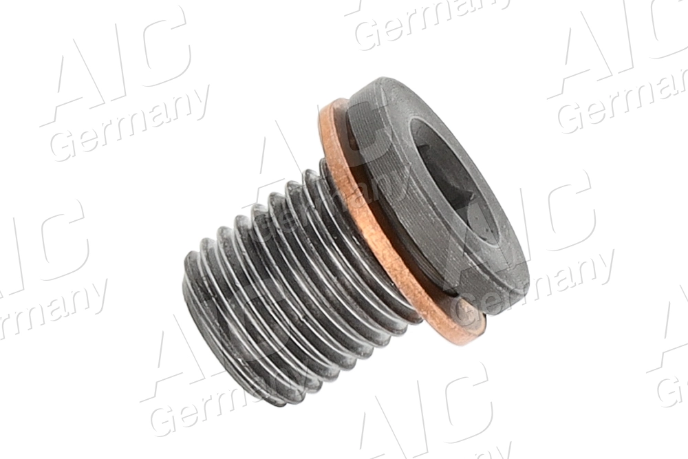 Screw Plug, oil sump (74197)