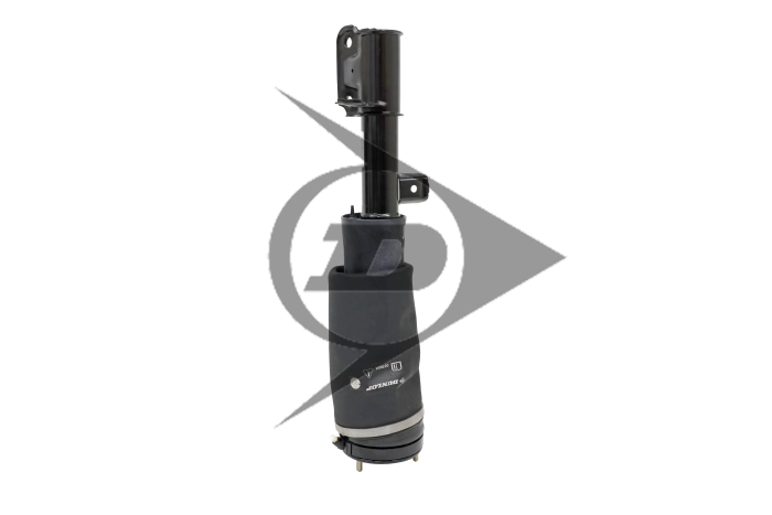 Air Suspension Strut