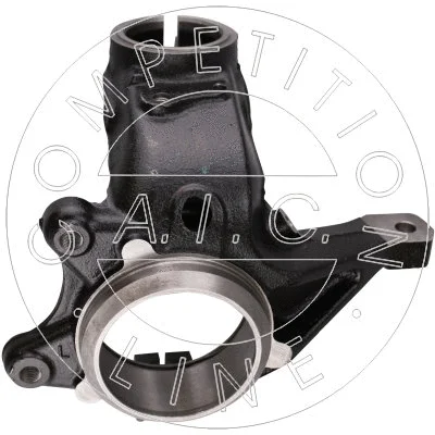 Steering Knuckle, wheel suspension