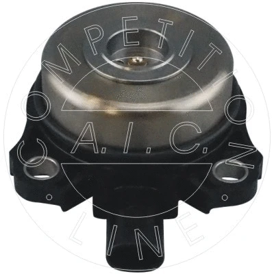 Central Magnet, camshaft adjustment (57615)