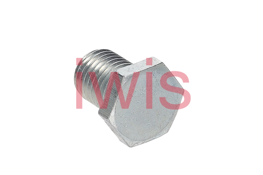 Screw Plug, oil sump