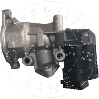 EGR Valve (55770)