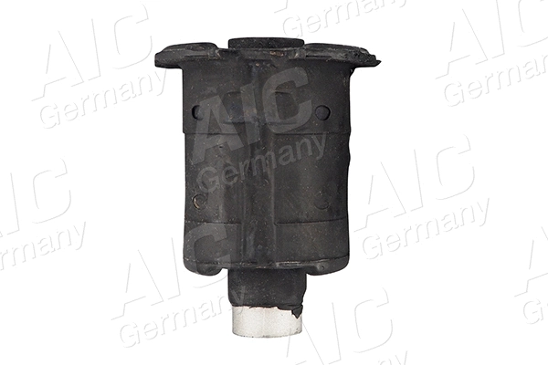 Bushing, axle beam (50262)