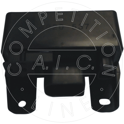 Control Unit, glow time (54920)