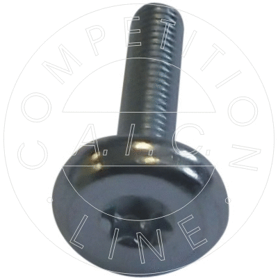 Screw (55026)