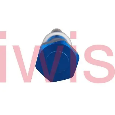 Tensioner, timing chain