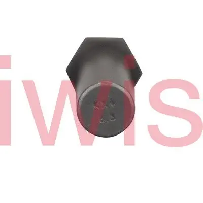 Sliding Rail Bolts, timing chain