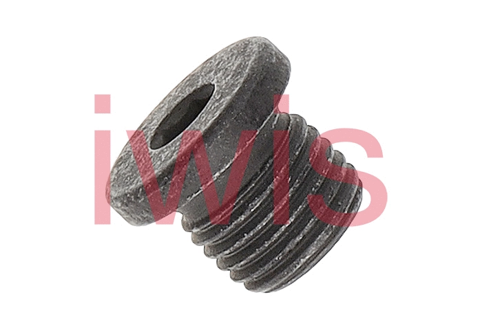 Screw Plug, oil sump (60297)