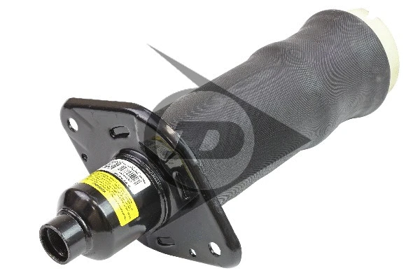 Air Spring, suspension