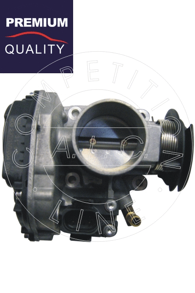 Throttle Body (53195)