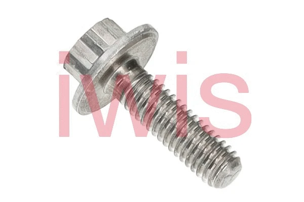Screw (60208)