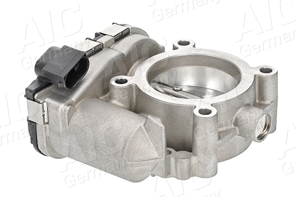 Throttle Body (71903)