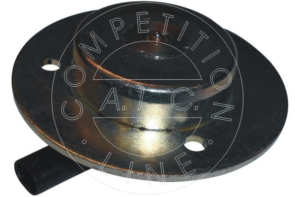 Central Magnet, camshaft adjustment (56493)