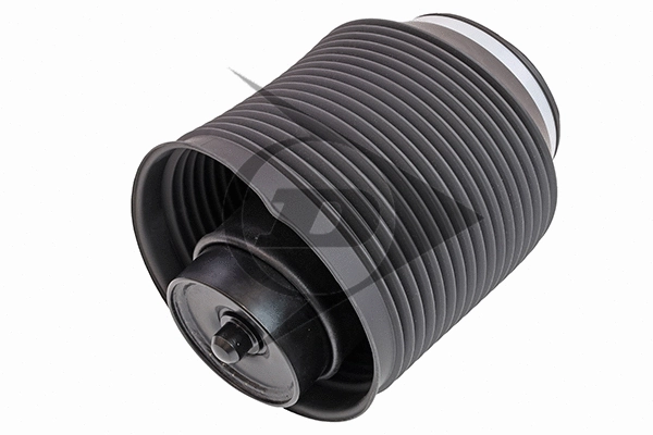 Air Spring, suspension (71160)