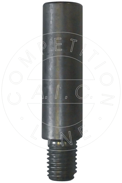 Guide Bolt, brake caliper (55282)