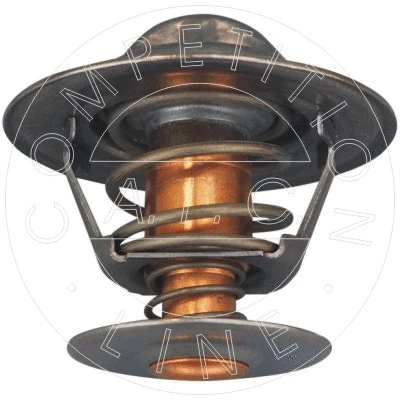 Thermostat, coolant (58322)