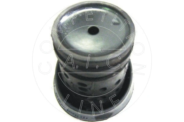 Mounting, engine (50211)