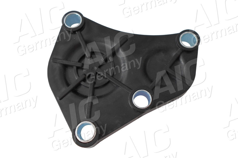 Locking Cover, camshaft (56066)
