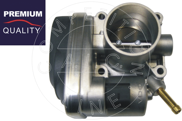 Throttle Body (52885)
