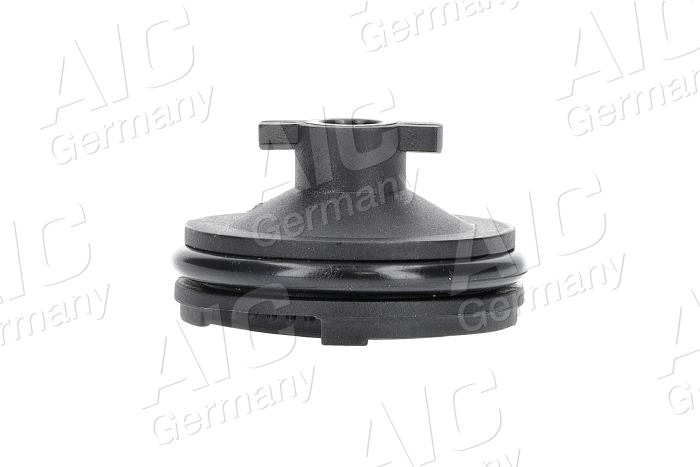 Screw Plug, oil sump (74193)