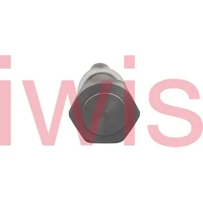 Tensioner, timing chain