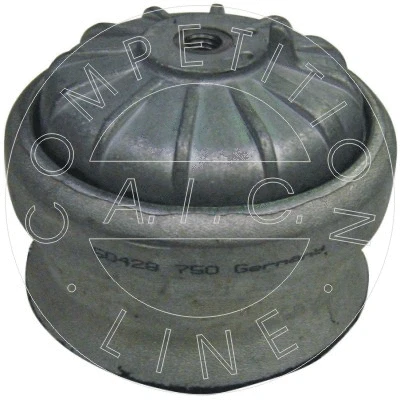 Mounting, engine (50428)