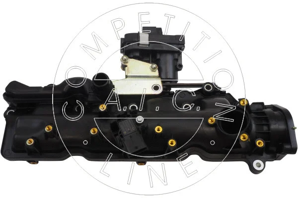 Intake Manifold Module