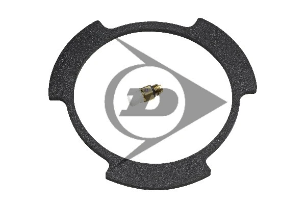 Air Suspension Strut (71075)