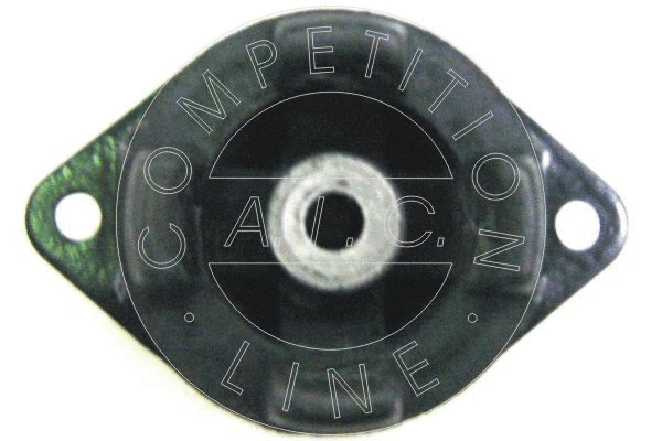 Mounting, automatic transmission (50298)