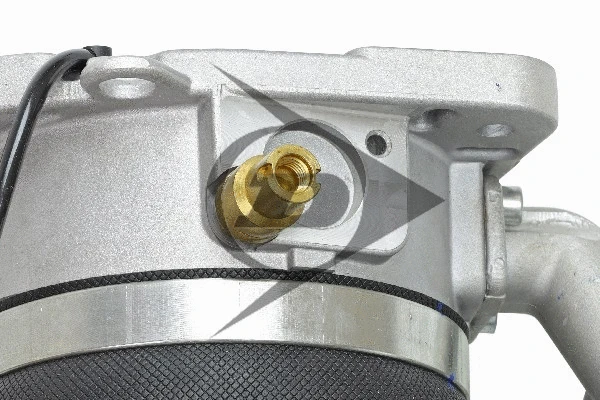 Air Suspension Strut