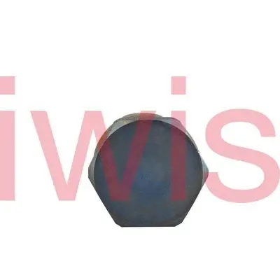 Tensioner, timing chain (59270)