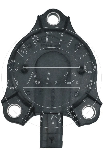 Central Magnet, camshaft adjustment