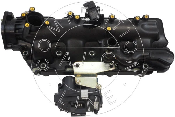 Intake Manifold Module (70845)