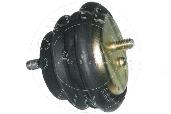 Mounting, engine (50237)