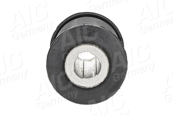 Bushing, leaf spring