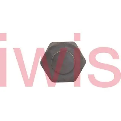 Tensioner, timing chain