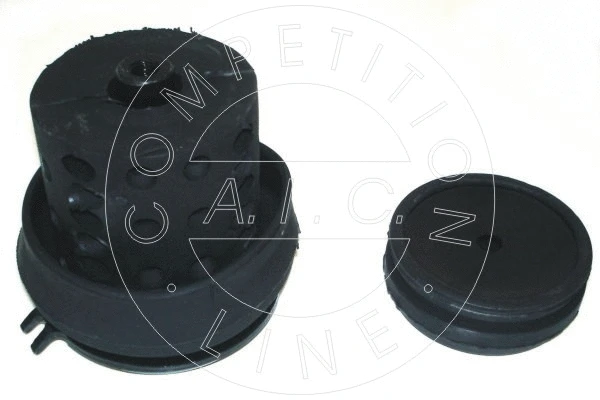 Mounting, engine (50210)