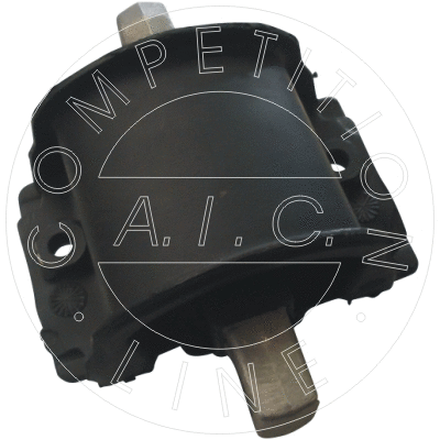 Mounting, automatic transmission (50439)