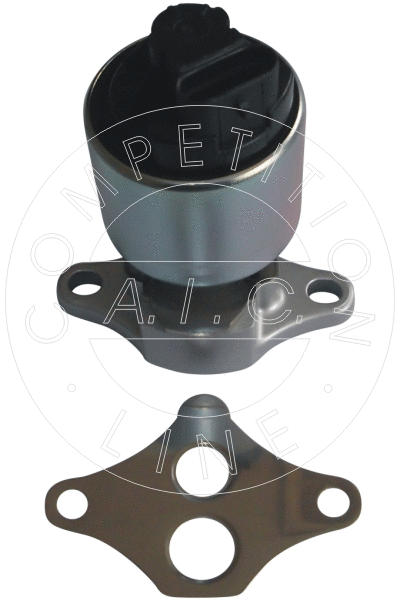 EGR Valve (55764)