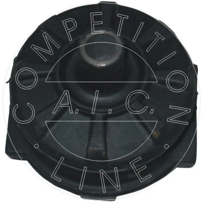 Bushing, axle beam (50350)