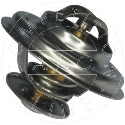 Thermostat, coolant (51179)